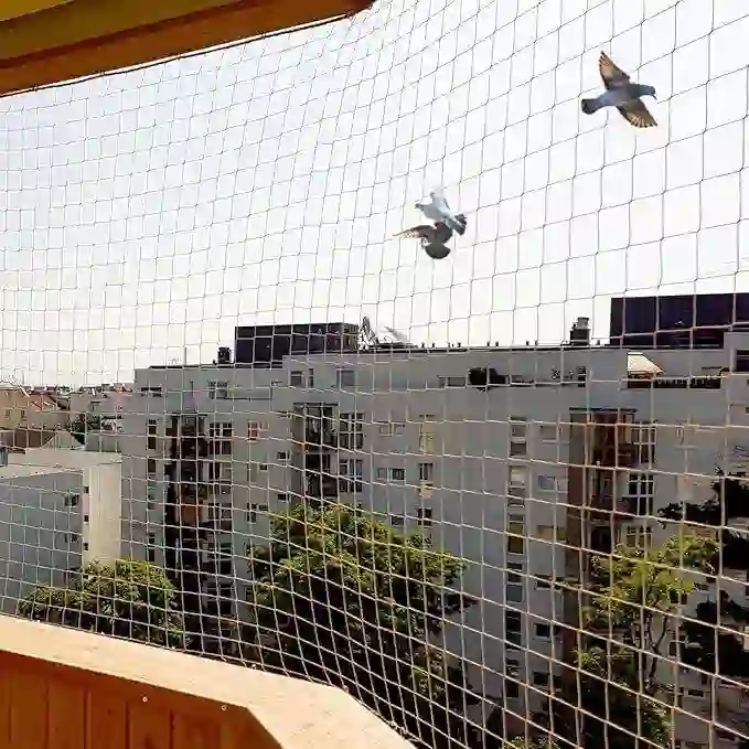 Bird Netting Balcony